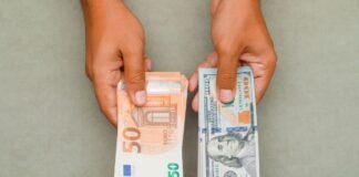 Валюта перед вихідними: як змінилися курси долара та євро 29 травня