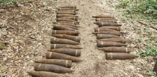У Берліні в лісі знайшли 59 нерозірваних радянських снарядів часів Другої світової