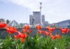 Травень у Києві відзначився трьома погодними рекордами