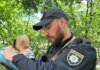 У Києві з вікна багатоповерхівки викинули собаку – поліція розпочала провадження