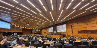 Атака рф на сховище ЧАЕС – Сибіга відреагував на заяву 47 держав і ЄС