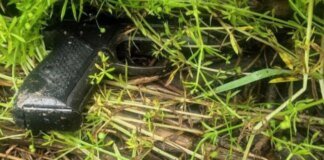 Застрелив двох людей та намагався втекти – у Києві затримали працівника СТО з Грузії