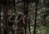 На фронті зафіксовано 241 боєзіткнення, Сили оборони уразили 17 районів зосередження ворога – Генштаб