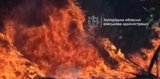 Ворожий FPV-дрон атакував цивільне авто під Запоріжжям, є загибла та поранені