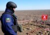 Після загибелі двох співробітників на Херсонщині NPA призупинила розмінування в Україні
