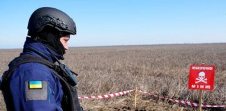 Після загибелі двох співробітників на Херсонщині NPA призупинила розмінування в Україні