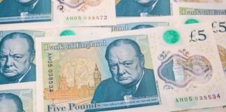 Жаба замість Черчилля? У Британії обирають тварин для фунтів стерлінгів