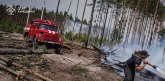 Спека під 50°C та сотні рятувальників: у Чорнобильській зоні триває гасіння пожежі (фото)