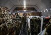 Пентагон втратив 910 млн доларів, призначених на зброю для України