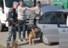 У Криму та Севастополі окупанти ввели режим надзвичайної ситуації