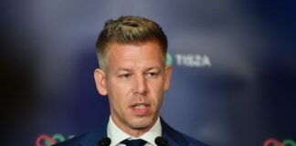 “Диявол у деталях”: Мадяр розповів про розбіжності в ЄС щодо вступу України