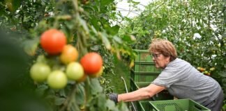 Чому Україна програє торгівельну війну на власному ринку та як це змінити: оцінка експерта