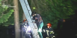 У Львові рятувальники зняли з дерева жінку, яка вилізла туди за котом
