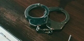 Кричав, бив та залишив у спеку без води: киянин може сісти до в'язниці на три роки за вбивство собаки