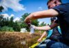 У Києві розчищають Кирилівське озеро після атаки рф 2 липня