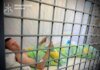 Організатор заходу зі збройовою виставкою під Києвом, де від удару рф загинуло 10 людей, отримав підозру – Генпрокурор