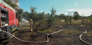 У Голосіївському районі Києва через атаку російського БпЛА вигоріло 1200 кв. м сухої трави – ДСНС