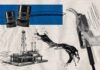 Ціни на АЗС перед вихідними: скільки коштує бензин, дизель та газ 10 липня