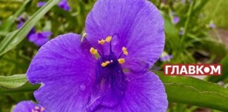 В Україні місцями дощитиме: погода на 3 липня 2026