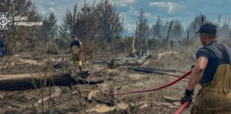 Рятувальники ліквідували масштабну пожежу в Чорнобильській зоні (фото, відео)