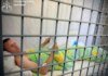 Після удару РФ по виставці зброї під Києвом затримано головного організатора