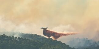 Україна відправила рятувальників приборкувати пожежі у Франції