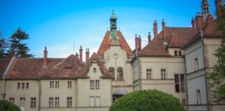 Замість приватизації: ФДМУ розглядає концесію Шенборнського замку та “Куяльника”