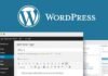 Сайт на WordPress: основные требования к хостингу