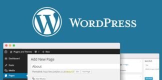 Сайт на WordPress: основные требования к хостингу