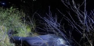 У молдовському селі вибухнув російський дрон (фото)