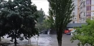 Пливуть авто та сміттєві баки. Частину Одеси затопило під час сильної зливи (відео)