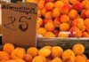 Де у Києві проходитимуть продуктові ярмарки 4-9 серпня (адреси)