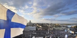 Бурий ведмідь підкопався під прикордонний паркан між Фінляндією та росією