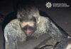 Чоловік у Києві стрибнув у смолу, щоб пограбувати супермаркет, його відмивали 5 годин