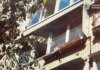 У Києві жінка викинула пінчера з балкона під час застілля: собака загинув, винуватиці загрожує до 8 років