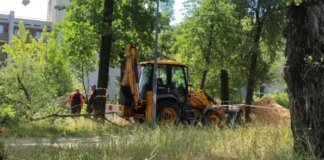 Роботи з видалення дерев на Теремках – КМДА не ухвалювала рішень