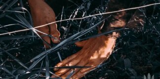 Відбулося 192 бойових зіткнення, ворог запустив понад 7 тис. дронів – Генштаб про ситуацію на фронті