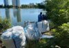 У Києві триває очищення на озері Кирилівське після атак рф – забруднення зменшили у десятки разів