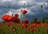 У Києві та області оголошено штормове попередження