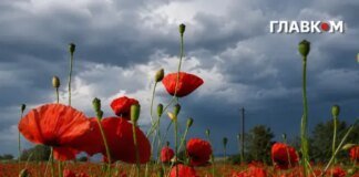 У Києві та області оголошено штормове попередження