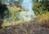 У Києві та області оголошено надзвичайну пожежну небезпеку