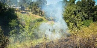 У Києві та області оголошено надзвичайну пожежну небезпеку