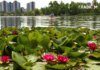 Спека у Києві за один день побила три температурні рекорди
