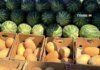 Де у Києві проходитимуть продуктові ярмарки 1-6 вересня (адреси)
