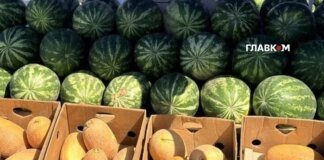 Де у Києві проходитимуть продуктові ярмарки 1-6 вересня (адреси)