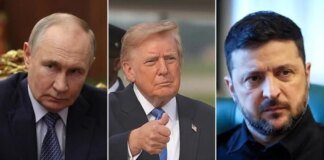 Axios: Директор ЦРУ запропонував провести зустріч Трампа, Путіна та Зеленського