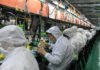 Google готує хитрий хід: як компанія збирається знизити ціни на нові Pixel і не втратити в якості
