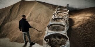 Українські фермери опинились на межі банкрутства через атаки РФ на морські порти, – Reuters