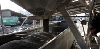НБУ пішов назустріч аграріям: строки розрахунків за експорт збільшили