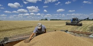 Україна може не вивезти 9 млн тонн зерна: під загрозою до $2,8 млрд виручки
